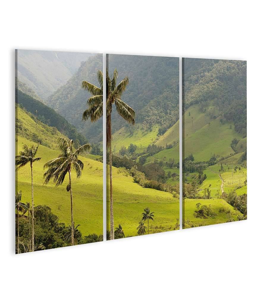 Islandburner Bild auf Leinwand Malerisches Wandbild mit Wachspalmen im idyllischen Cocora Tal, Kolumbien