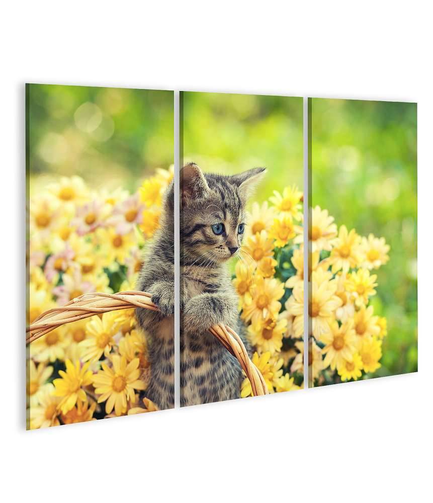 Islandburner Bild auf Leinwand Entzückendes Wandbild eines jungen Kätzchens in einem blumenreichen Garten