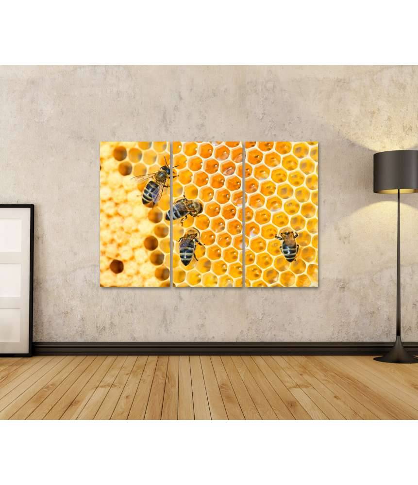 Islandburner Bild auf Leinwand Fleißige Bienen, die eifrig Honig in ihren Waben herstellen Kostenloser Versand international