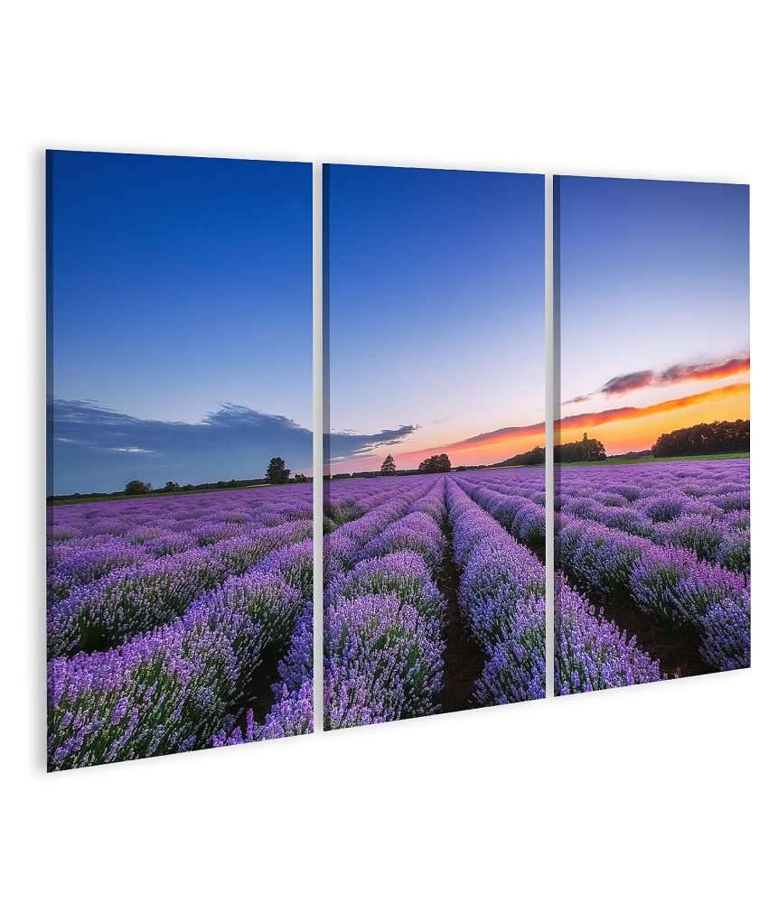 Islandburner Bild auf Leinwand Dramatischer Sonnenaufgang über duftendem Lavendelfeld mit Wolkenkulisse