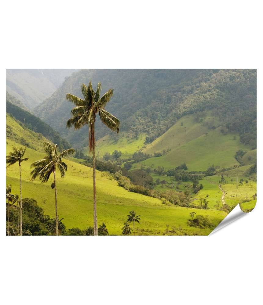 Islandburner XXL Premium Poster Malerisches Wandbild mit Wachspalmen im idyllischen Cocora Tal, Kolumbien