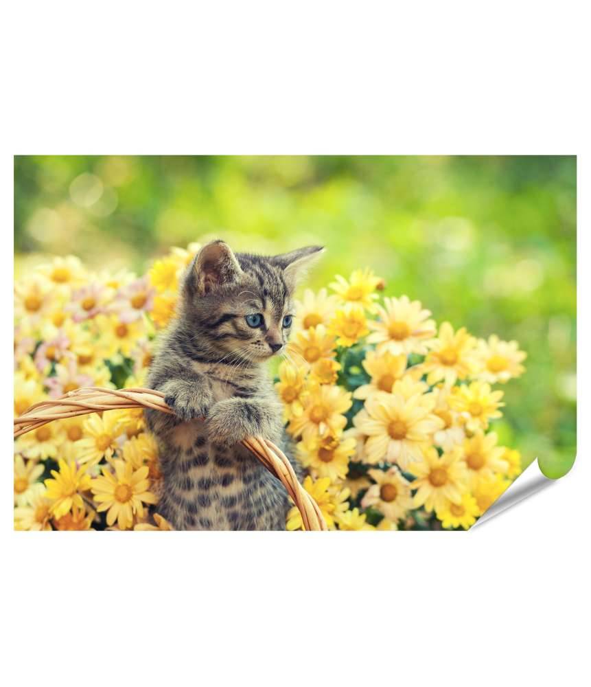 Islandburner XXL Premium Poster Entzückendes Wandbild eines jungen Kätzchens in einem blumenreichen Garten