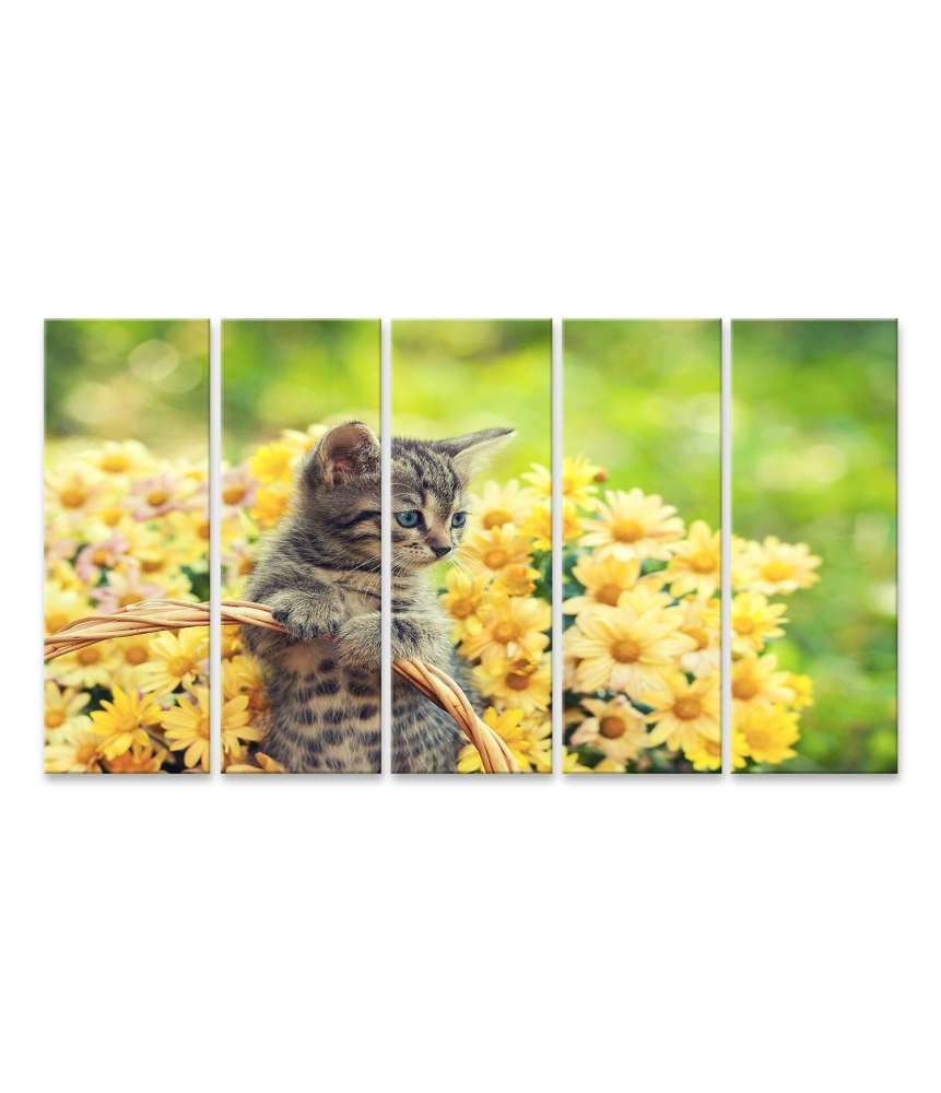 Islandburner Bild auf Leinwand Entzückendes Wandbild eines jungen Kätzchens in einem blumenreichen Garten