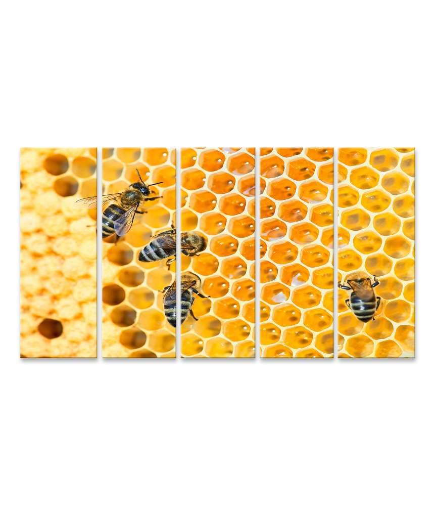 Islandburner Bild auf Leinwand Fleißige Bienen, die eifrig Honig in ihren Waben herstellen
