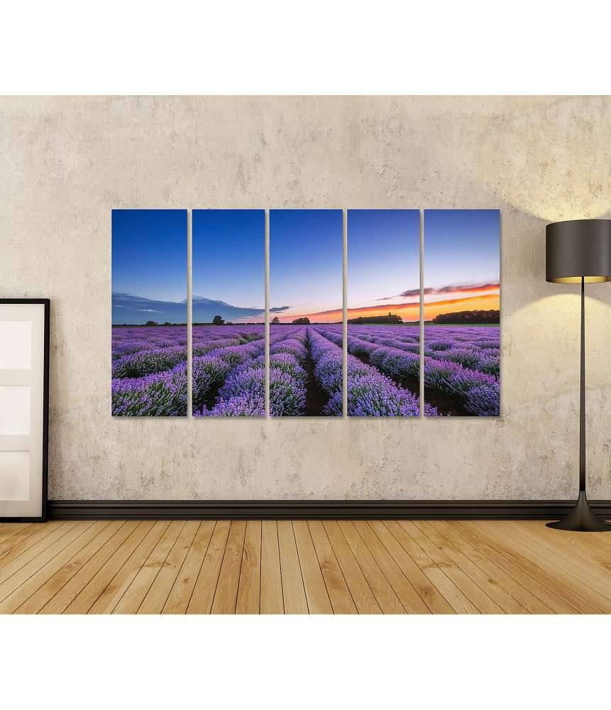 Islandburner Bild auf Leinwand Dramatischer Sonnenaufgang über duftendem Lavendelfeld mit Wolkenkulisse Sonderangebot