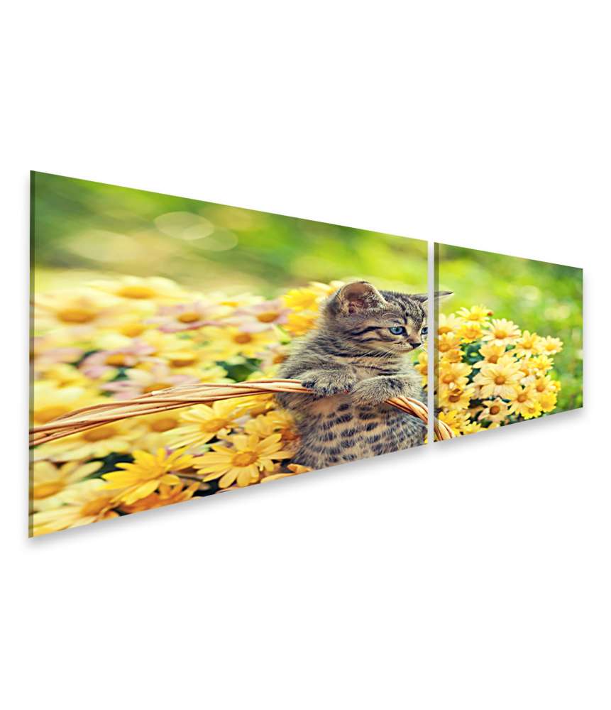 Islandburner Bild auf Leinwand Entzückendes Wandbild eines jungen Kätzchens in einem blumenreichen Garten