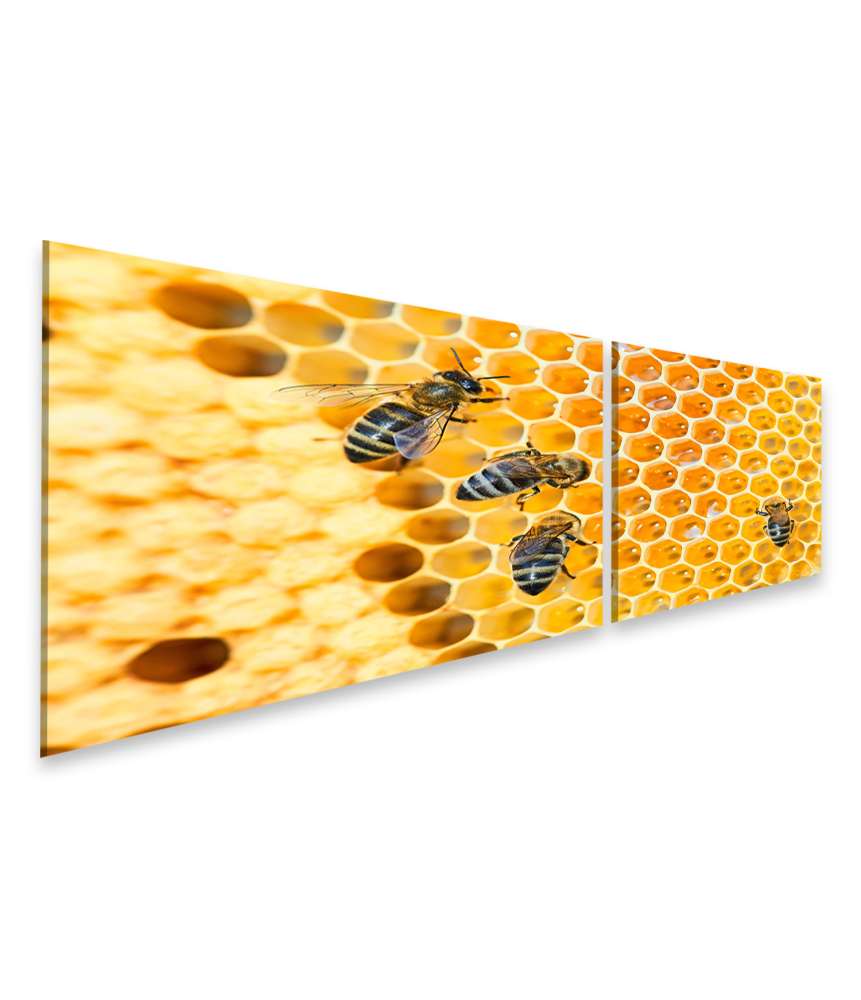 Islandburner Bild auf Leinwand Fleißige Bienen, die eifrig Honig in ihren Waben herstellen