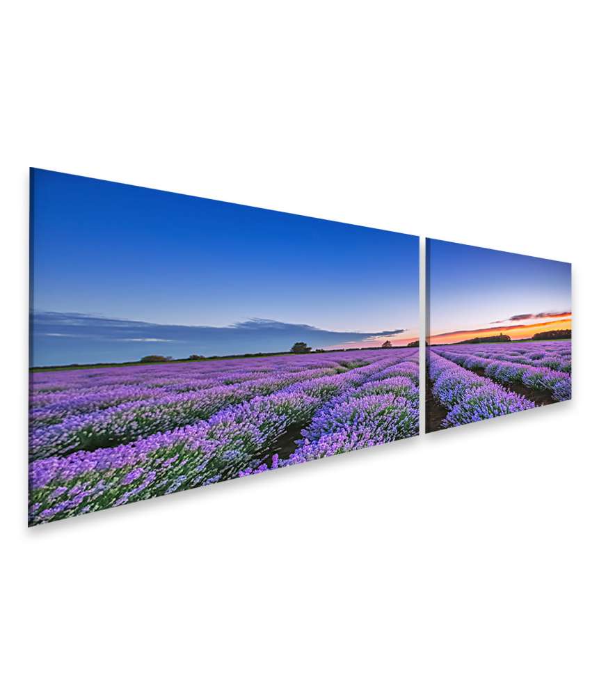 Islandburner Bild auf Leinwand Dramatischer Sonnenaufgang über duftendem Lavendelfeld mit Wolkenkulisse