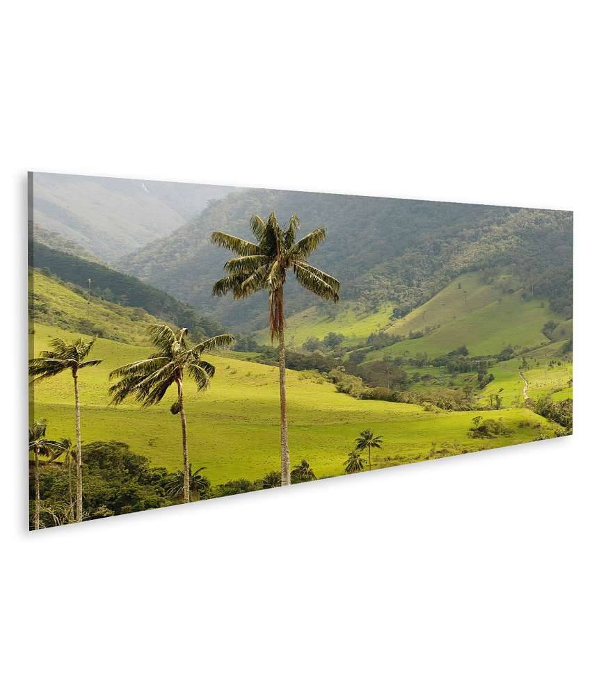Islandburner Bild auf Leinwand Malerisches Wandbild mit Wachspalmen im idyllischen Cocora Tal, Kolumbien