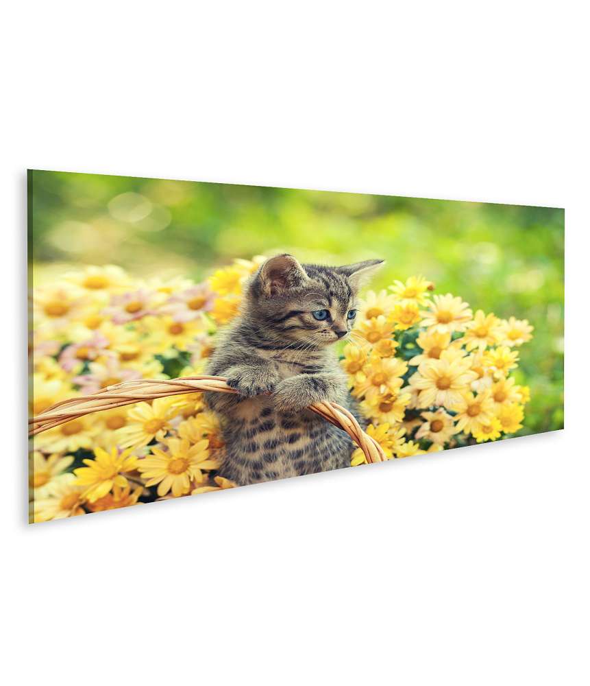 Islandburner Bild auf Leinwand Entzückendes Wandbild eines jungen Kätzchens in einem blumenreichen Garten