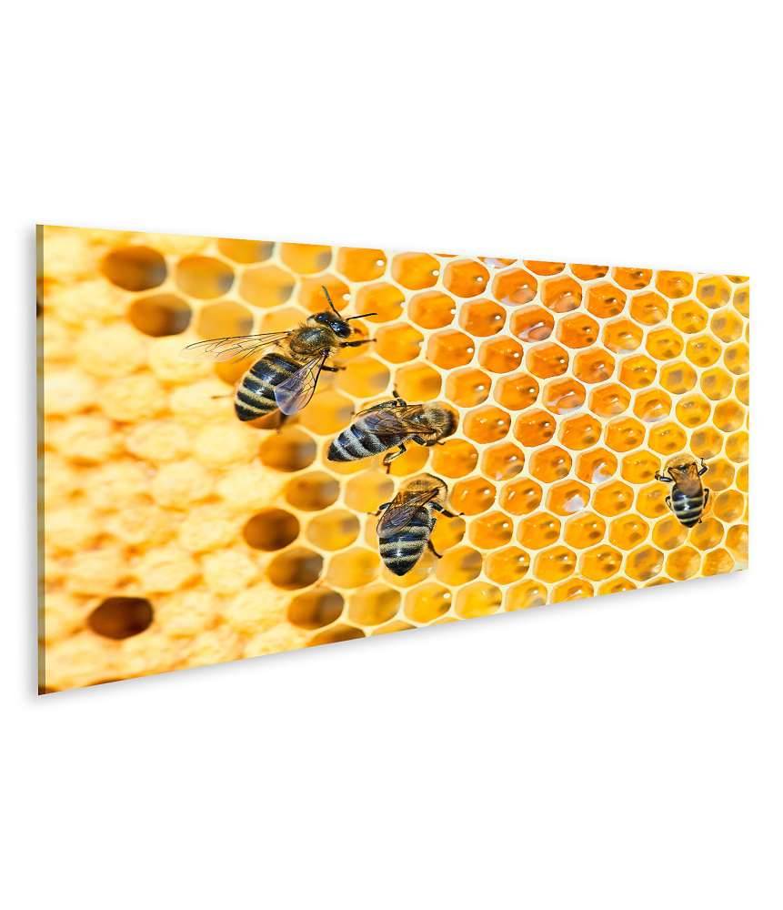 Islandburner Bild auf Leinwand Fleißige Bienen, die eifrig Honig in ihren Waben herstellen