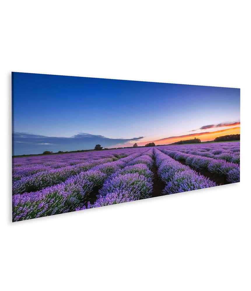 Islandburner Bild auf Leinwand Dramatischer Sonnenaufgang über duftendem Lavendelfeld mit Wolkenkulisse