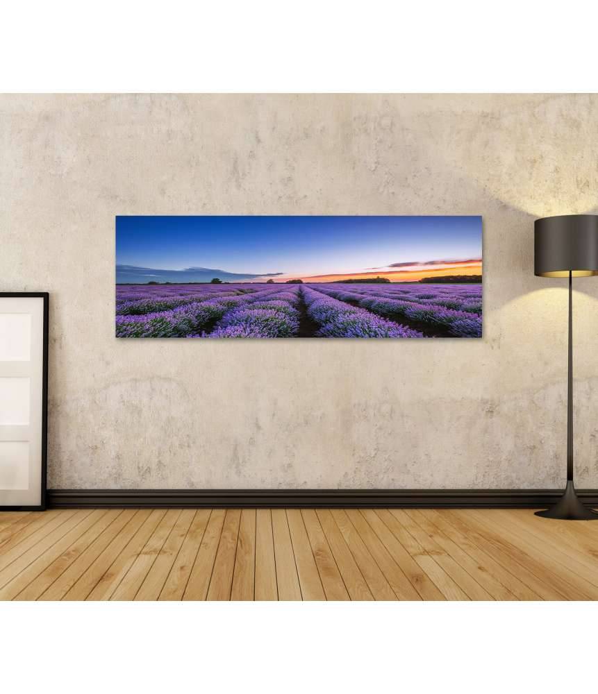 Islandburner Bild auf Leinwand Dramatischer Sonnenaufgang über duftendem Lavendelfeld mit Wolkenkulisse Zeitlich begrenztes Angebot