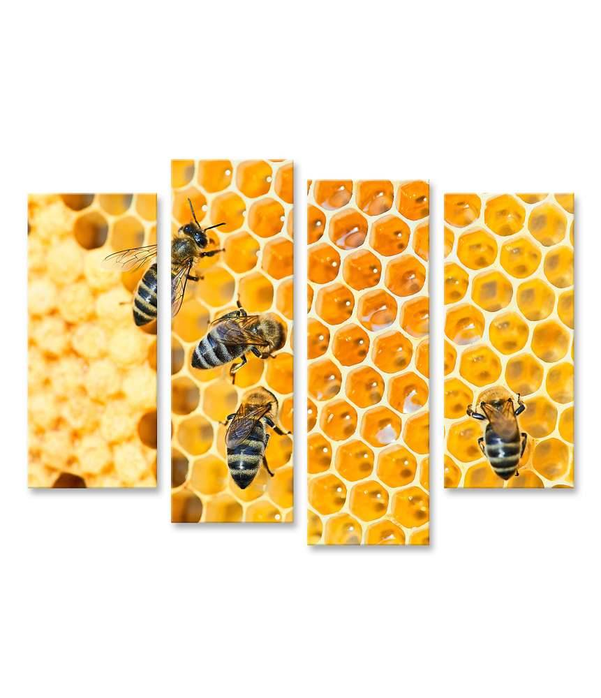 Islandburner Bild auf Leinwand Fleißige Bienen, die eifrig Honig in ihren Waben herstellen Letzter Tag