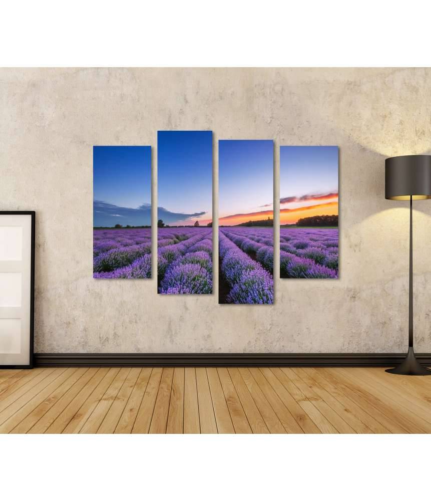 Islandburner Bild auf Leinwand Dramatischer Sonnenaufgang über duftendem Lavendelfeld mit Wolkenkulisse Bis zu 50% Rabatt