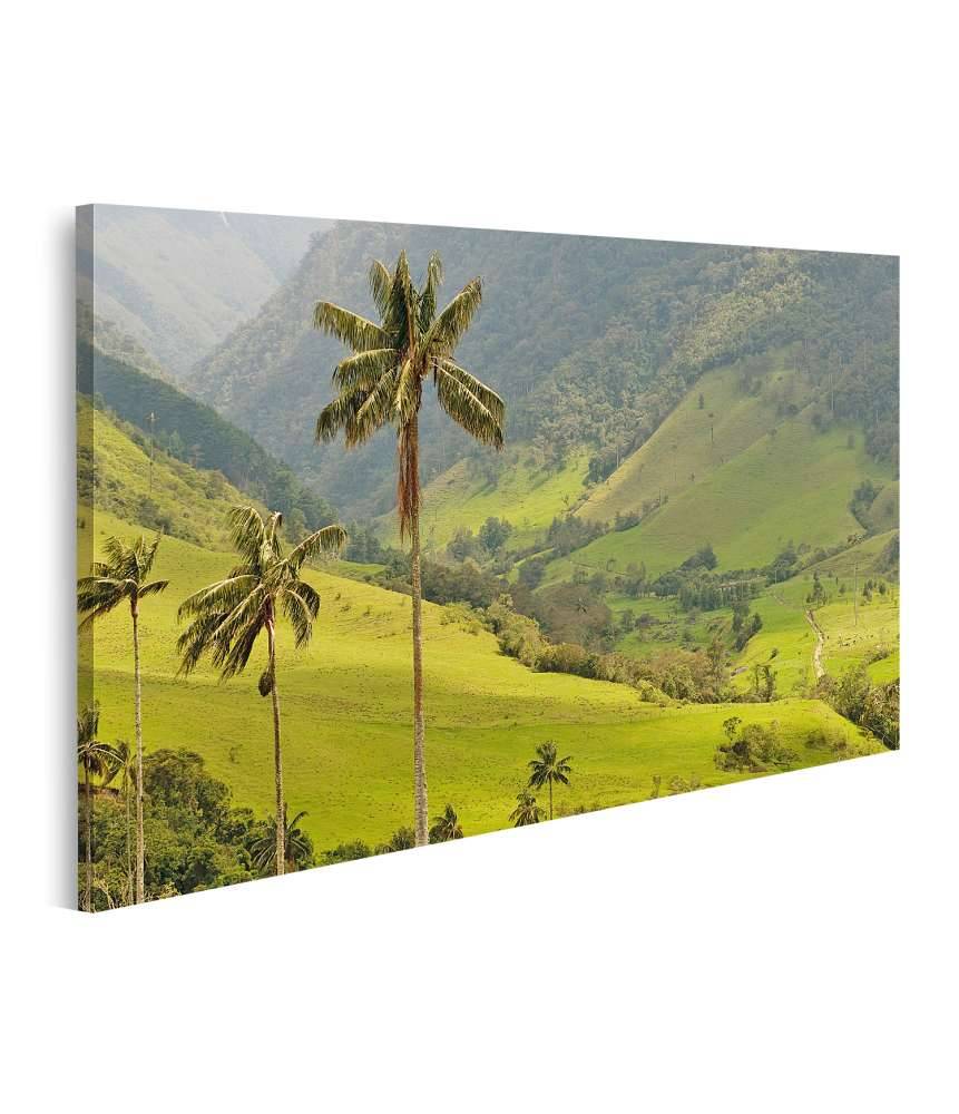 Islandburner Bild auf Leinwand Malerisches Wandbild mit Wachspalmen im idyllischen Cocora Tal, Kolumbien