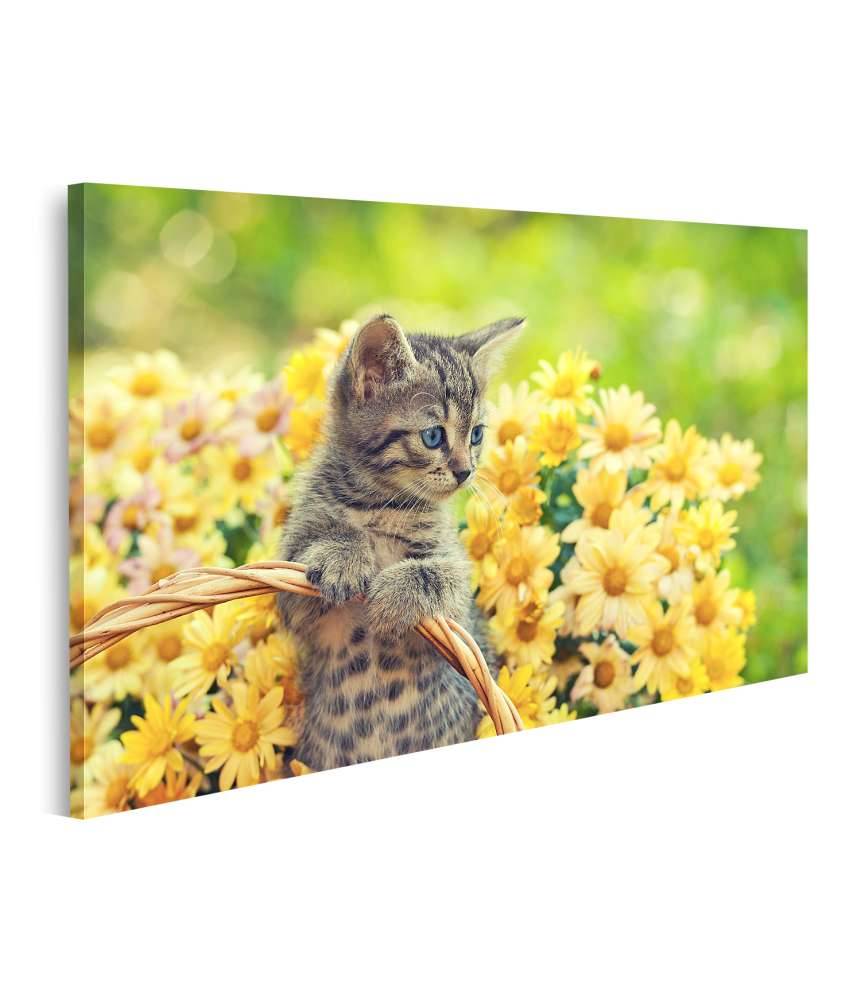 Islandburner Bild auf Leinwand Entzückendes Wandbild eines jungen Kätzchens in einem blumenreichen Garten