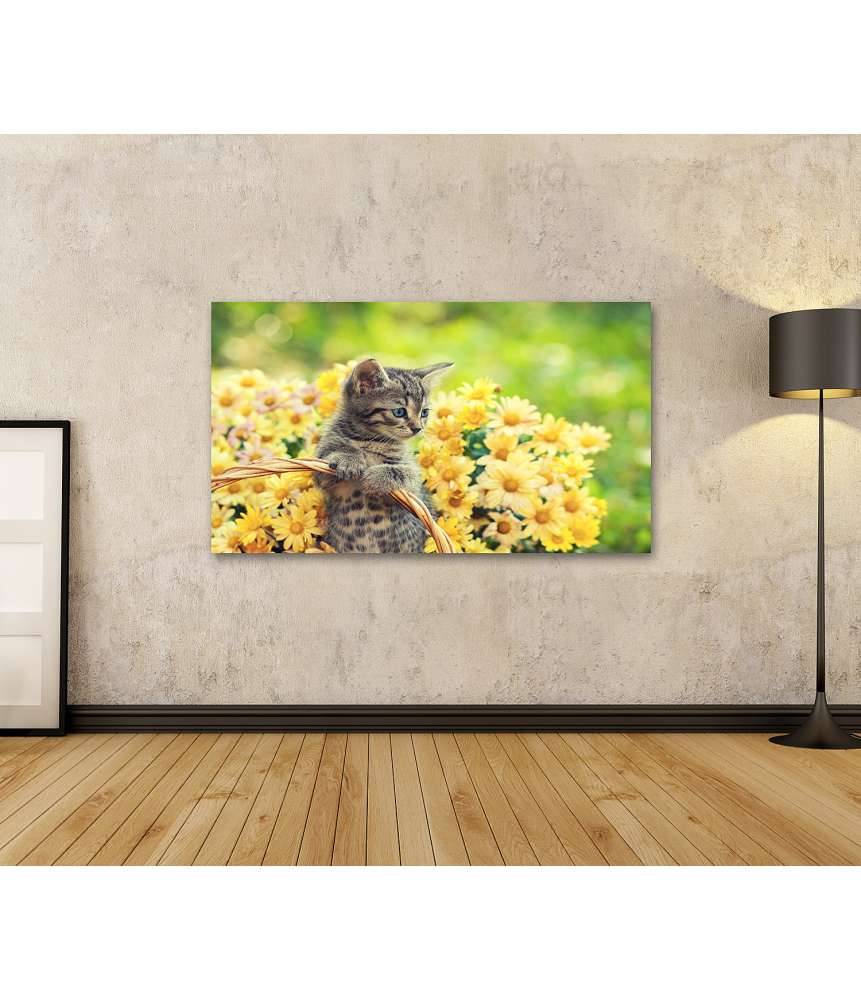 Islandburner Bild auf Leinwand Entzückendes Wandbild eines jungen Kätzchens in einem blumenreichen Garten Vierteljährliche Förderung