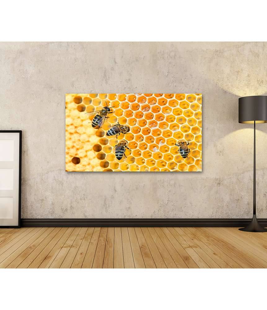 Islandburner Bild auf Leinwand Fleißige Bienen, die eifrig Honig in ihren Waben herstellen Riesige Rabatte