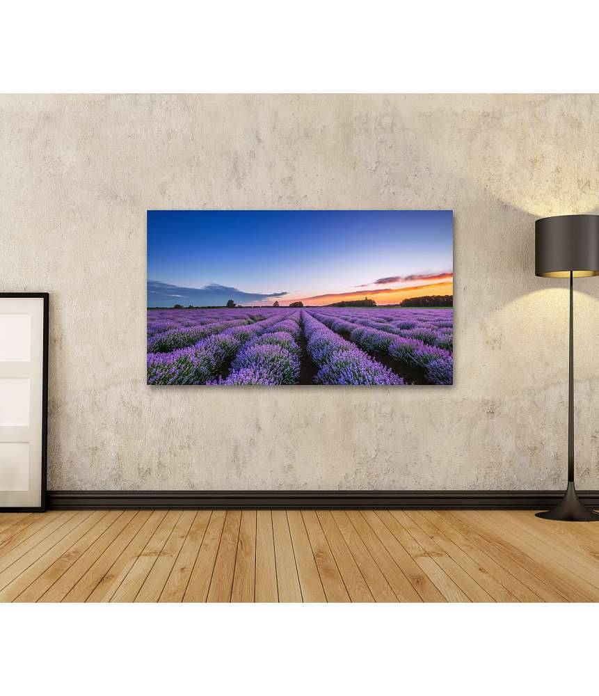 Islandburner Bild auf Leinwand Dramatischer Sonnenaufgang über duftendem Lavendelfeld mit Wolkenkulisse Clearance-Verkauf