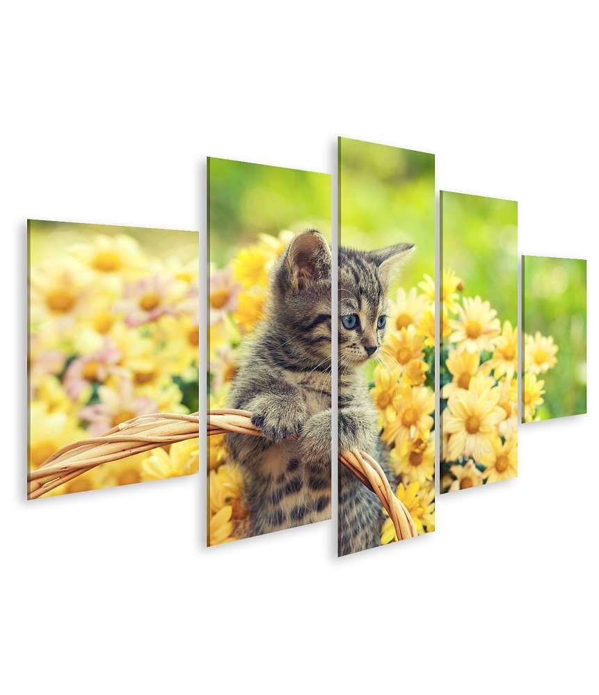 Islandburner Bild auf Leinwand Entzückendes Wandbild eines jungen Kätzchens in einem blumenreichen Garten