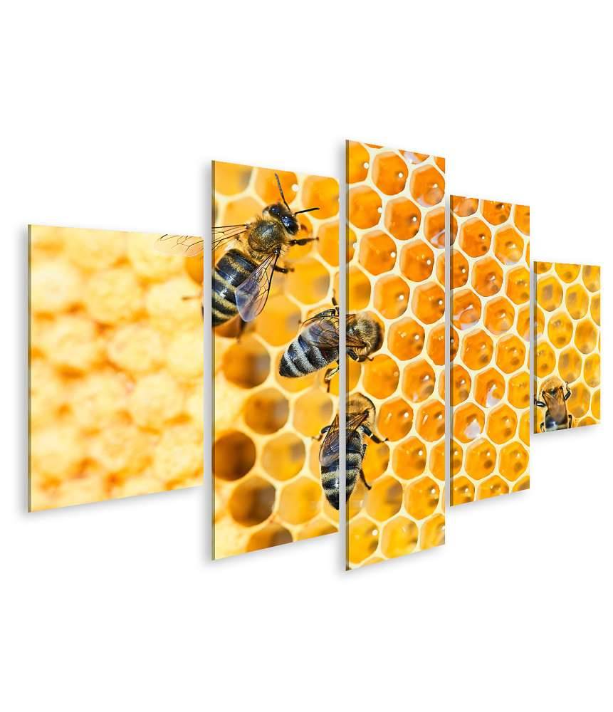 Islandburner Bild auf Leinwand Fleißige Bienen, die eifrig Honig in ihren Waben herstellen