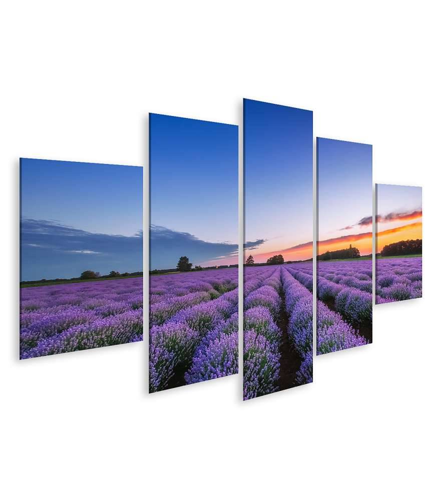 Islandburner Bild auf Leinwand Dramatischer Sonnenaufgang über duftendem Lavendelfeld mit Wolkenkulisse