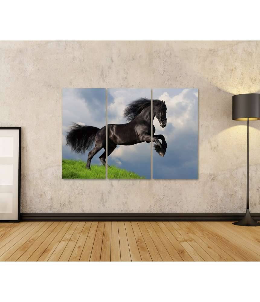 Islandburner Bild auf Leinwand Friesisches Pferd in voller Galopp auf Wandbild dargestellt Schlussverkauf