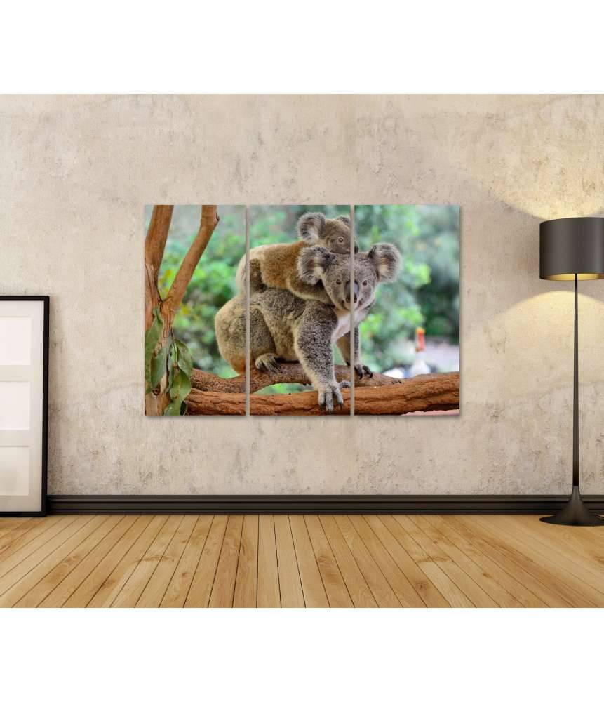 Islandburner Bild auf Leinwand Baby-Koala kuschelt auf dem Rücken seiner Mutter im Eukalyptusbaum Sonderangebot