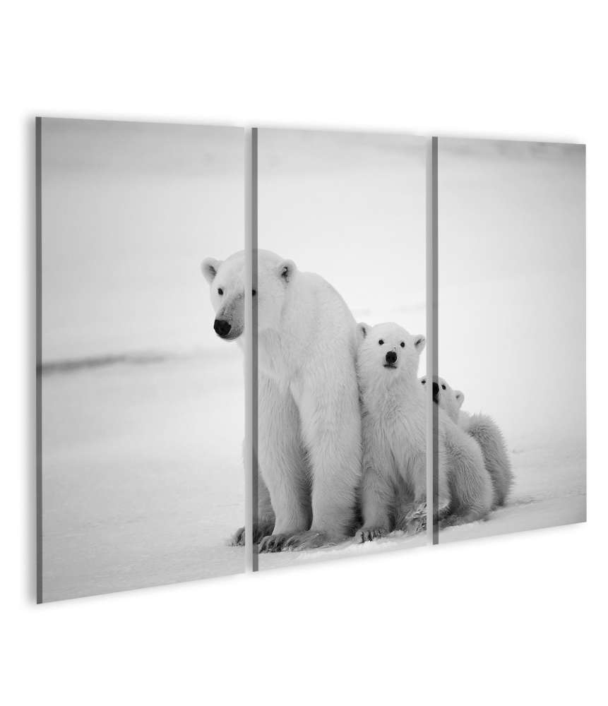 Islandburner Bild auf Leinwand Eisbär-Mutter mit Jungen in der eisigen Arktis - Polarbär Wandbild Exklusivangebot