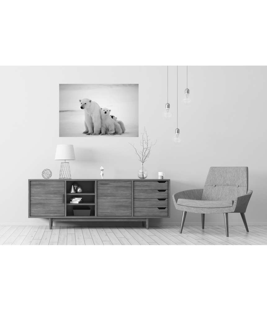 Islandburner XXL Premium Poster Eisbär-Mutter mit Jungen in der eisigen Arktis - Polarbär Wandbild Tägliche Deals