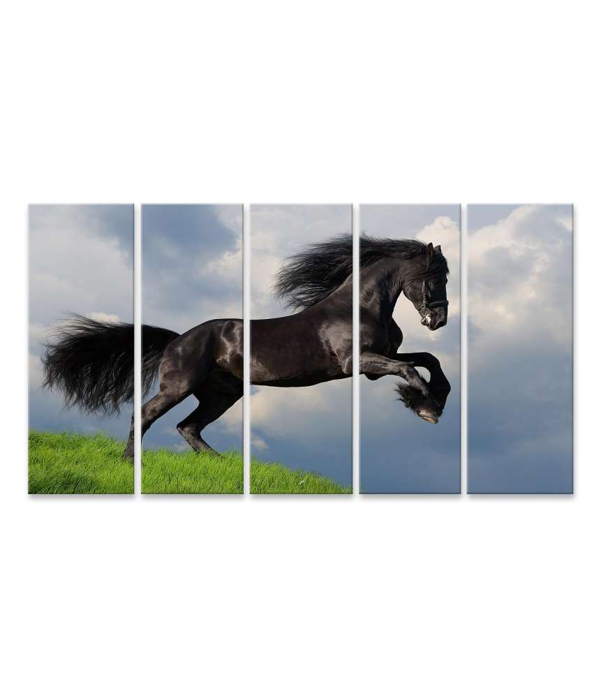 Islandburner Bild auf Leinwand Friesisches Pferd in voller Galopp auf Wandbild dargestellt Begrenzte Freigabe