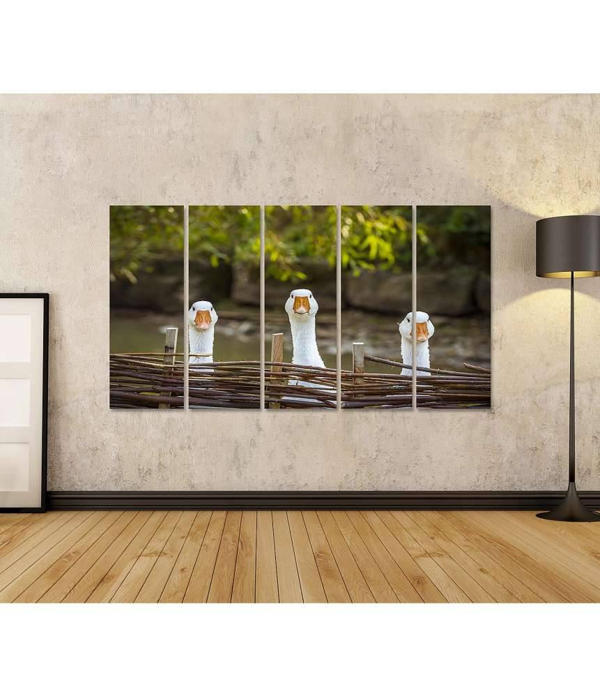 Islandburner Bild auf Leinwand Drei heitere weiße Gänse hinter einem Flechtzaun auf einem Wandbild Zeitbegrenzte Promotion