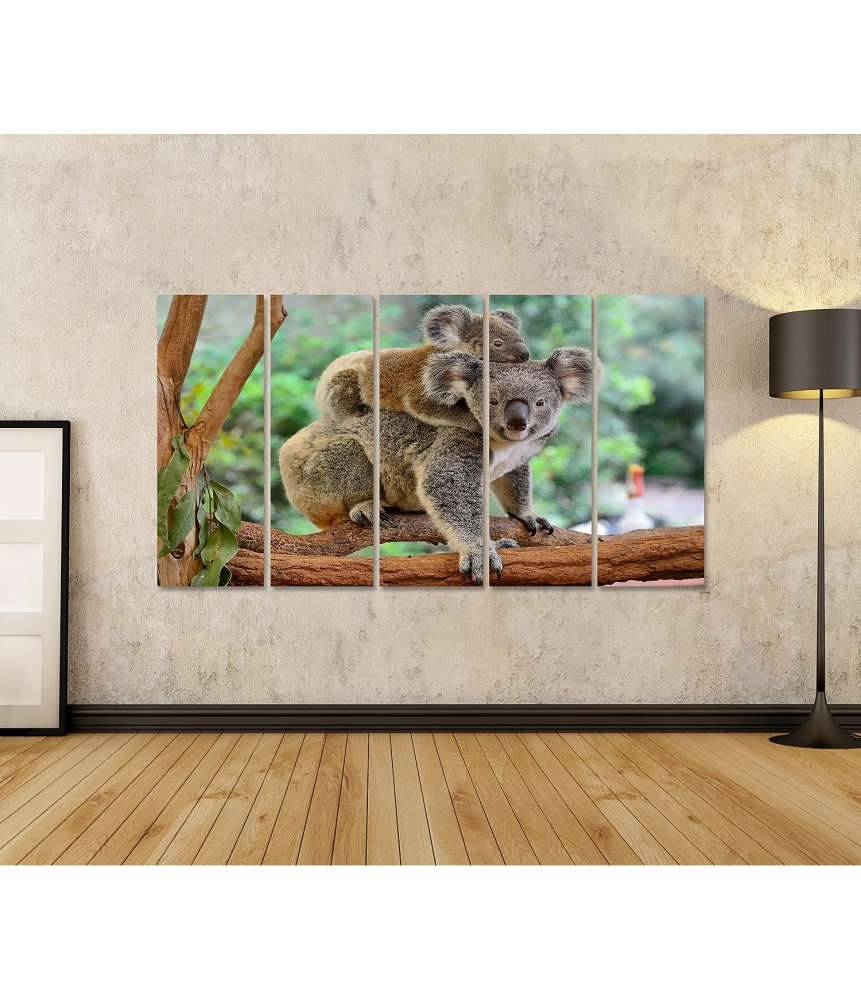 Islandburner Bild auf Leinwand Baby-Koala kuschelt auf dem Rücken seiner Mutter im Eukalyptusbaum Bis zu 60% Rabatt