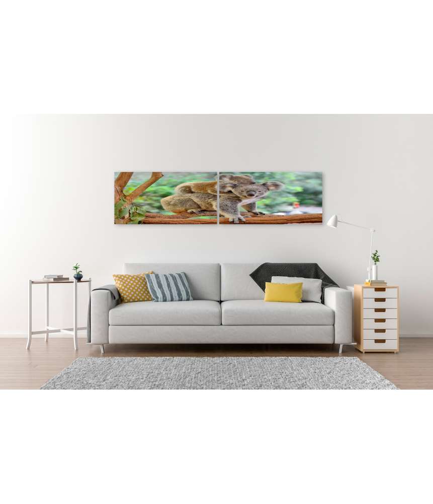 Islandburner Bild auf Leinwand Baby-Koala kuschelt auf dem Rücken seiner Mutter im Eukalyptusbaum im Angebot