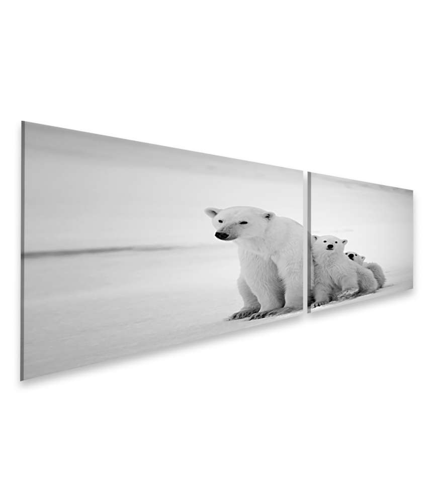 Islandburner Bild auf Leinwand Eisbär-Mutter mit Jungen in der eisigen Arktis - Polarbär Wandbild