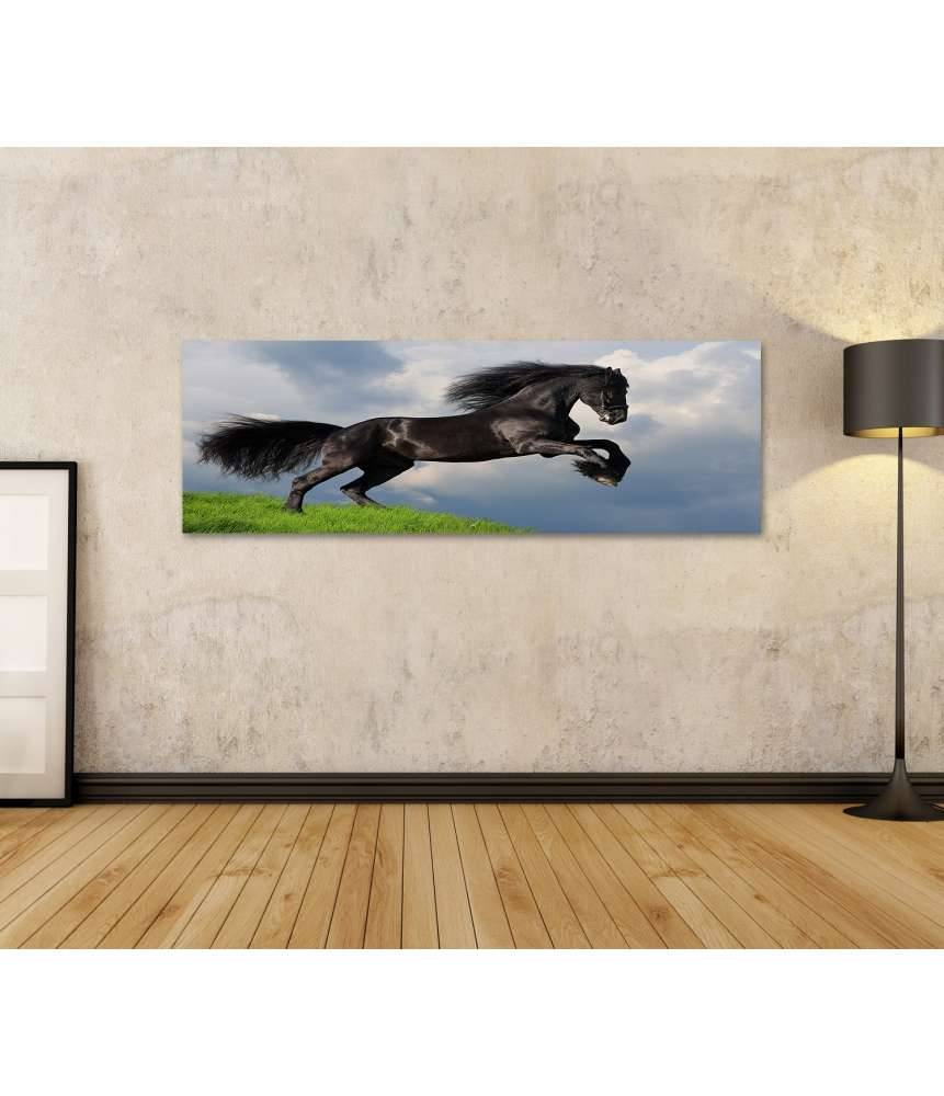 Islandburner Bild auf Leinwand Friesisches Pferd in voller Galopp auf Wandbild dargestellt Begrenztes Angebot