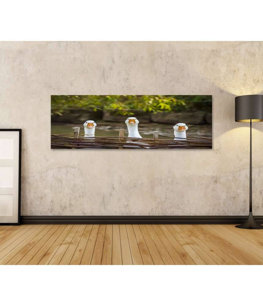 Islandburner Bild auf Leinwand Drei heitere weiße Gänse hinter einem Flechtzaun auf einem Wandbild Cyber Monday