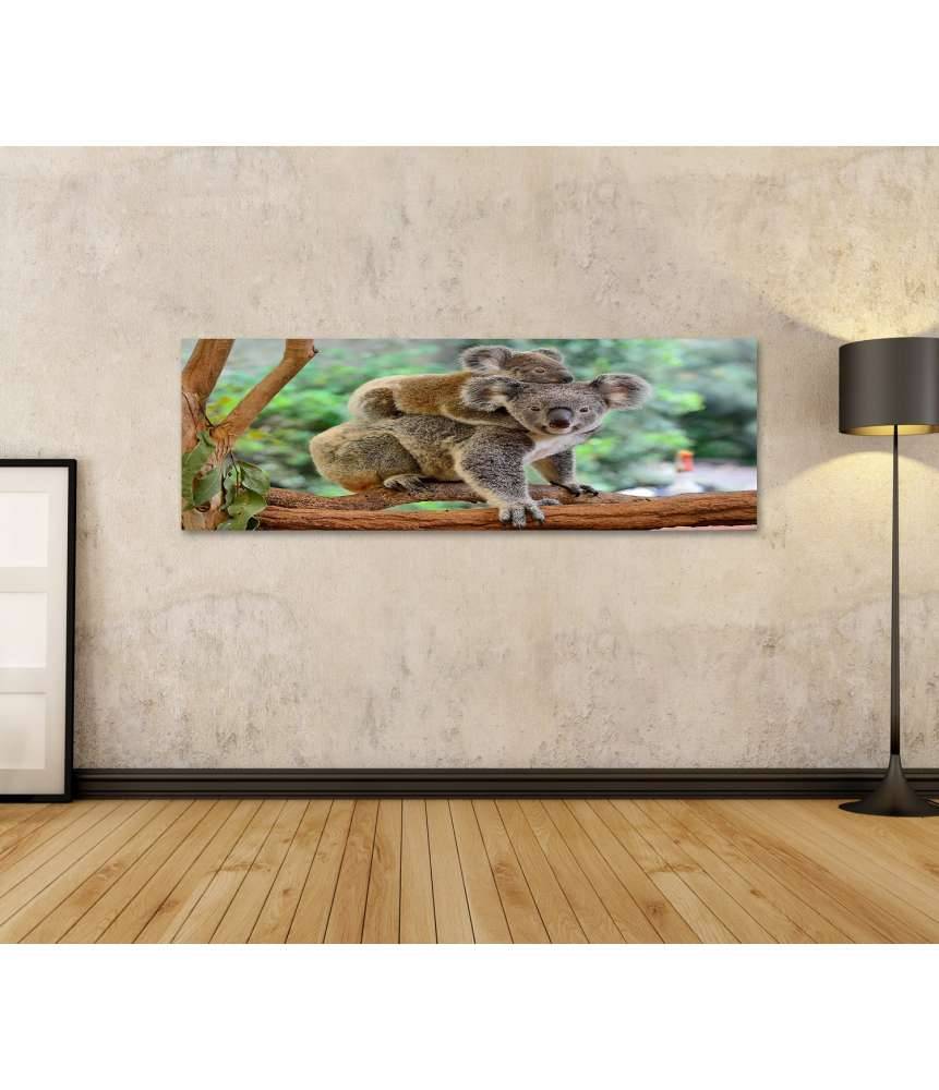 Islandburner Bild auf Leinwand Baby-Koala kuschelt auf dem Rücken seiner Mutter im Eukalyptusbaum Lagerräumung