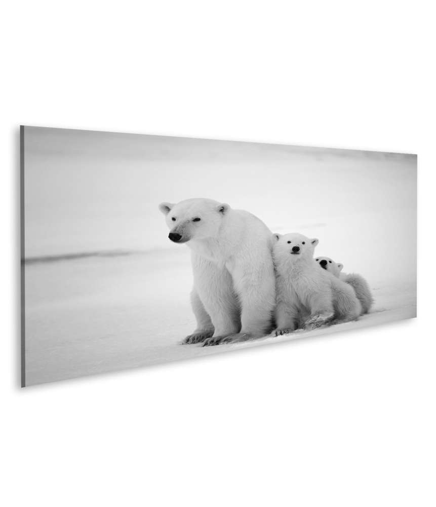 Islandburner Bild auf Leinwand Eisbär-Mutter mit Jungen in der eisigen Arktis - Polarbär Wandbild