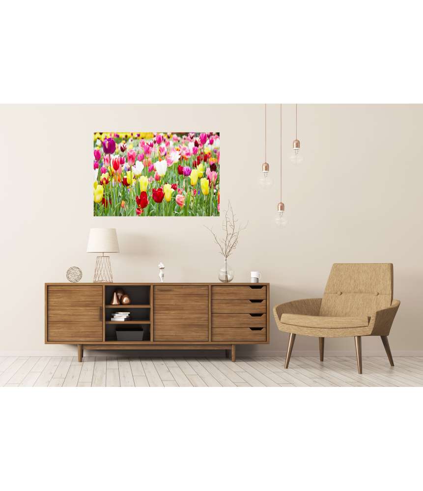 Islandburner Premium Poster Vielfältige Blumenauswahl mit prächtig blühenden Tulpen als Highlight Begrenzte Freigabe