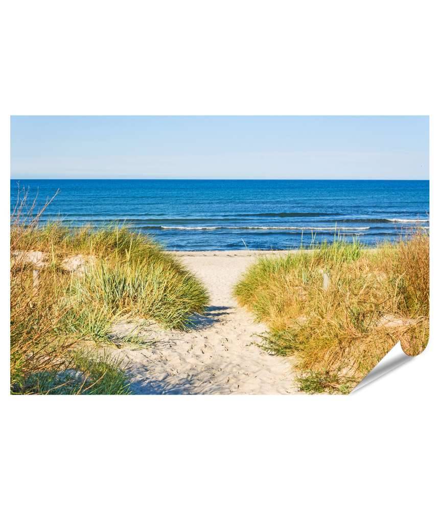 Islandburner Premium Poster Weg zur Ostsee umrahmt von Strandhafer: ein idyllisches Wandbild
