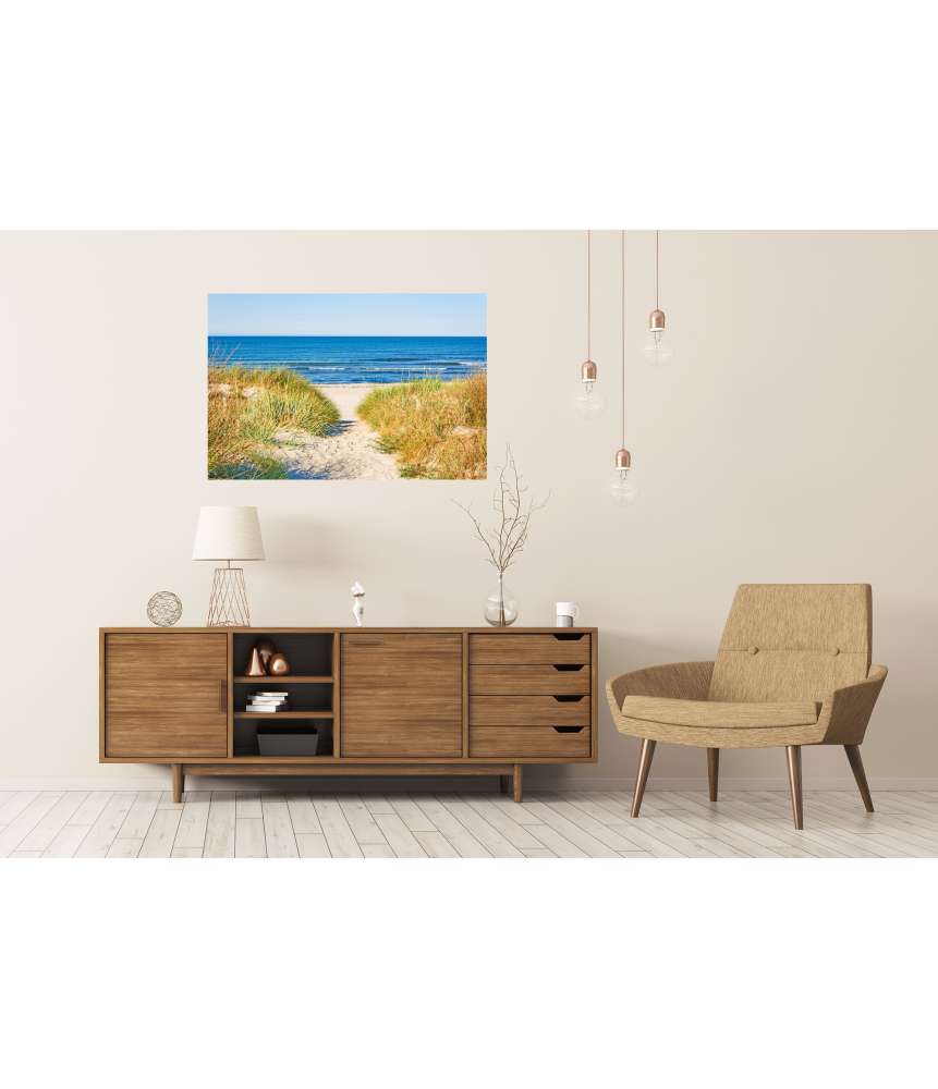 Islandburner Premium Poster Weg zur Ostsee umrahmt von Strandhafer: ein idyllisches Wandbild Bis zu 50% Rabatt