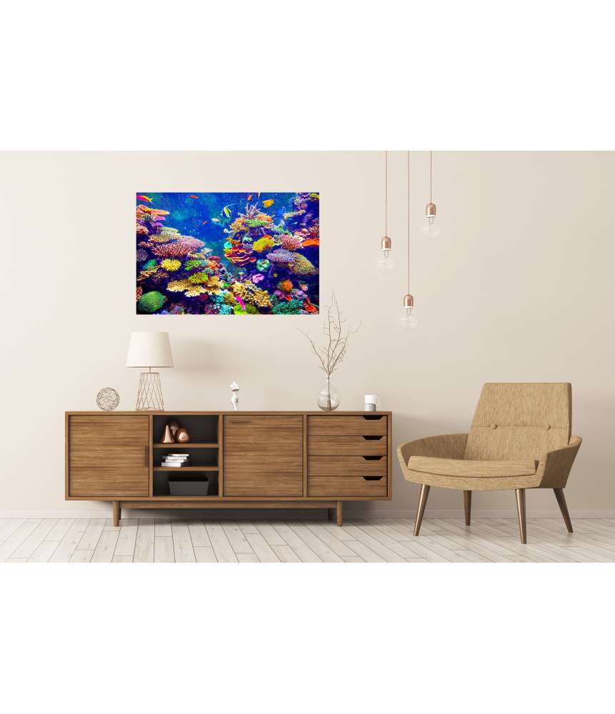 Islandburner Premium Poster Sonnenlicht beschienenes Korallenriff mit tropischen Fischen im Singapur Aquarium Sonderangebot der Fabrik