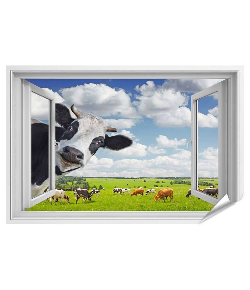 Islandburner Premium Poster Lustige Kuh blickt in Kamera durch Fenster - Wandbild
