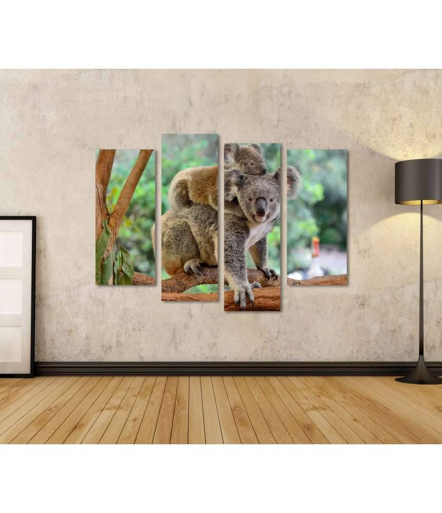 Islandburner Bild auf Leinwand Baby-Koala kuschelt auf dem Rücken seiner Mutter im Eukalyptusbaum Hotsell