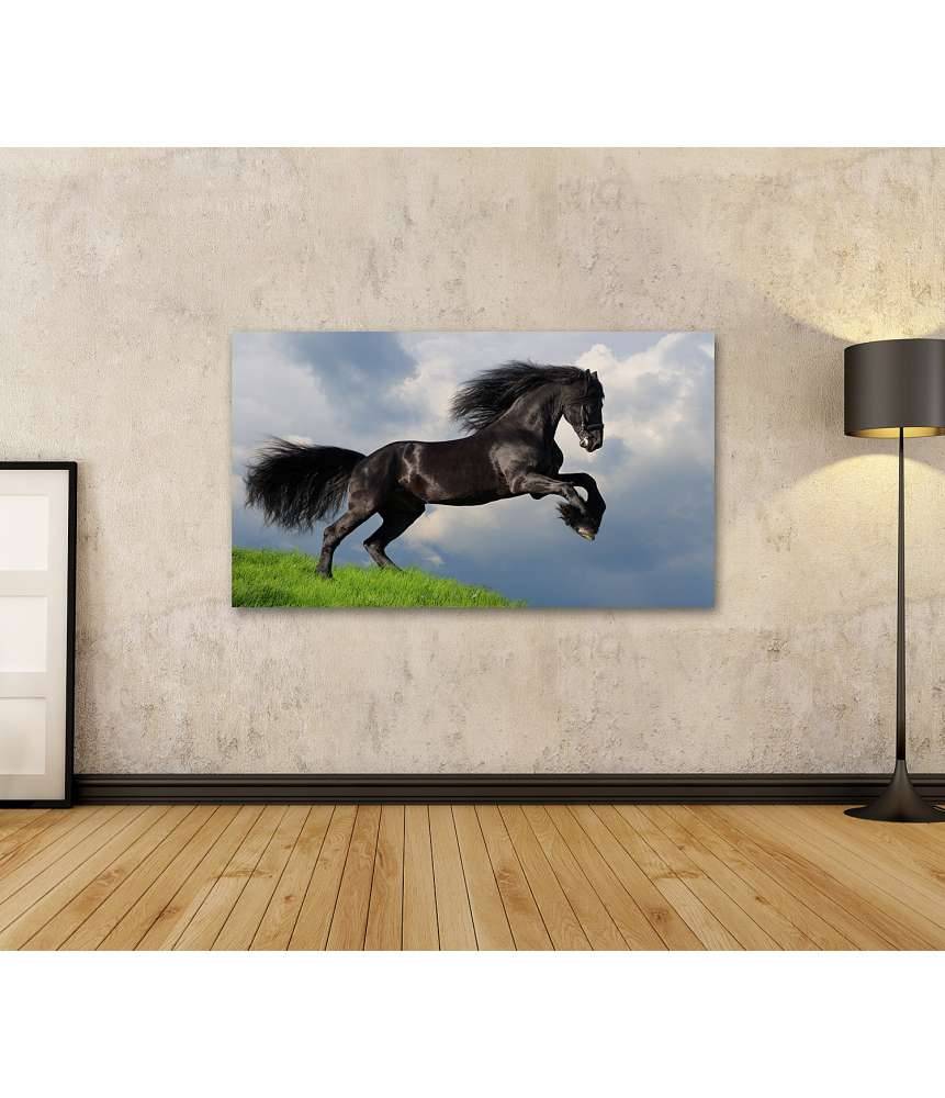 Islandburner Bild auf Leinwand Friesisches Pferd in voller Galopp auf Wandbild dargestellt Valentinstagsangebot