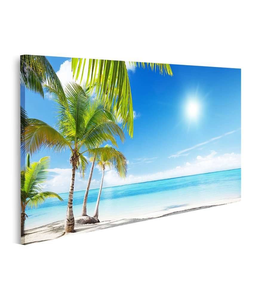 Islandburner Bild auf Leinwand Karibischer Strand mit Palmen am azurblauen Meer