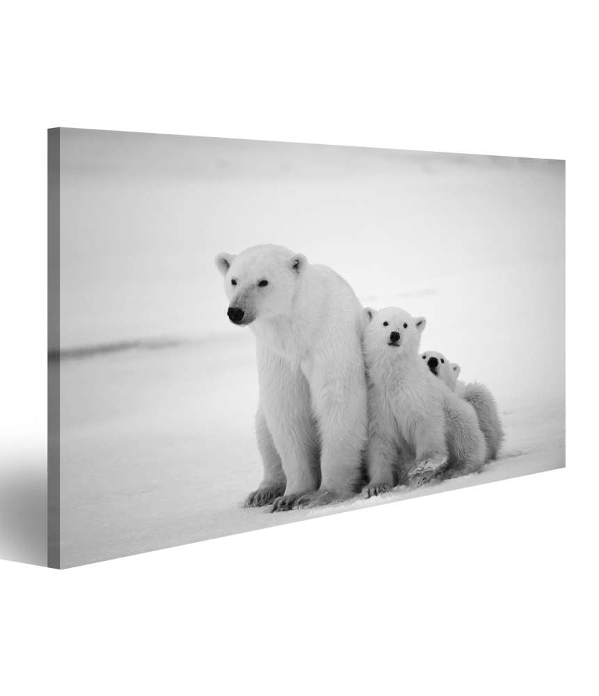 Islandburner Bild auf Leinwand Eisbär-Mutter mit Jungen in der eisigen Arktis - Polarbär Wandbild