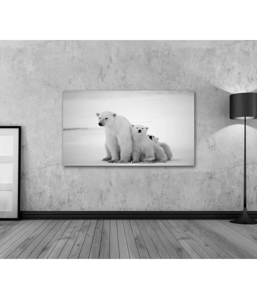 Islandburner Bild auf Leinwand Eisbär-Mutter mit Jungen in der eisigen Arktis - Polarbär Wandbild Tägliche Deals